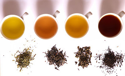 Four teacups on a white background with tea brewed with various strength teas. A sample of the tea leaves used for each is in front of the corresponding tea cup.