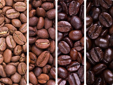 Four columns of roasted coffee beans in order of increasing degree of roasting from left to right.